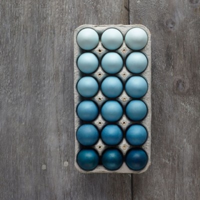 ALISON GOOTEE/STUDIO D